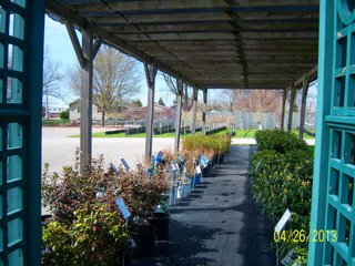 <a href="http://www.mcintoshgreenhouse.com">More Information Available at www.mcintoshgreenhouse.com</a><br><br>Fantastic opportunity on 14+/- acres just south of Goshen, IN with lots of frontage on US 33.  This property is currently zoned commercial-retail and consists of 16 greenhouses with 37,494 SF of heated growing area.  

In addition, it includes retail buildings, shop, and an approx. 1700 SF home adjacent to the business. Opportunities abound with this prime property and the second generation owners retiring and ready to consider offers.  Possible uses of this acreage is unlimited!  A Great location on a busy road, good access and paved parking for 66 vehicles.

 - 14+/- Acres Zoned Commercial-Retail